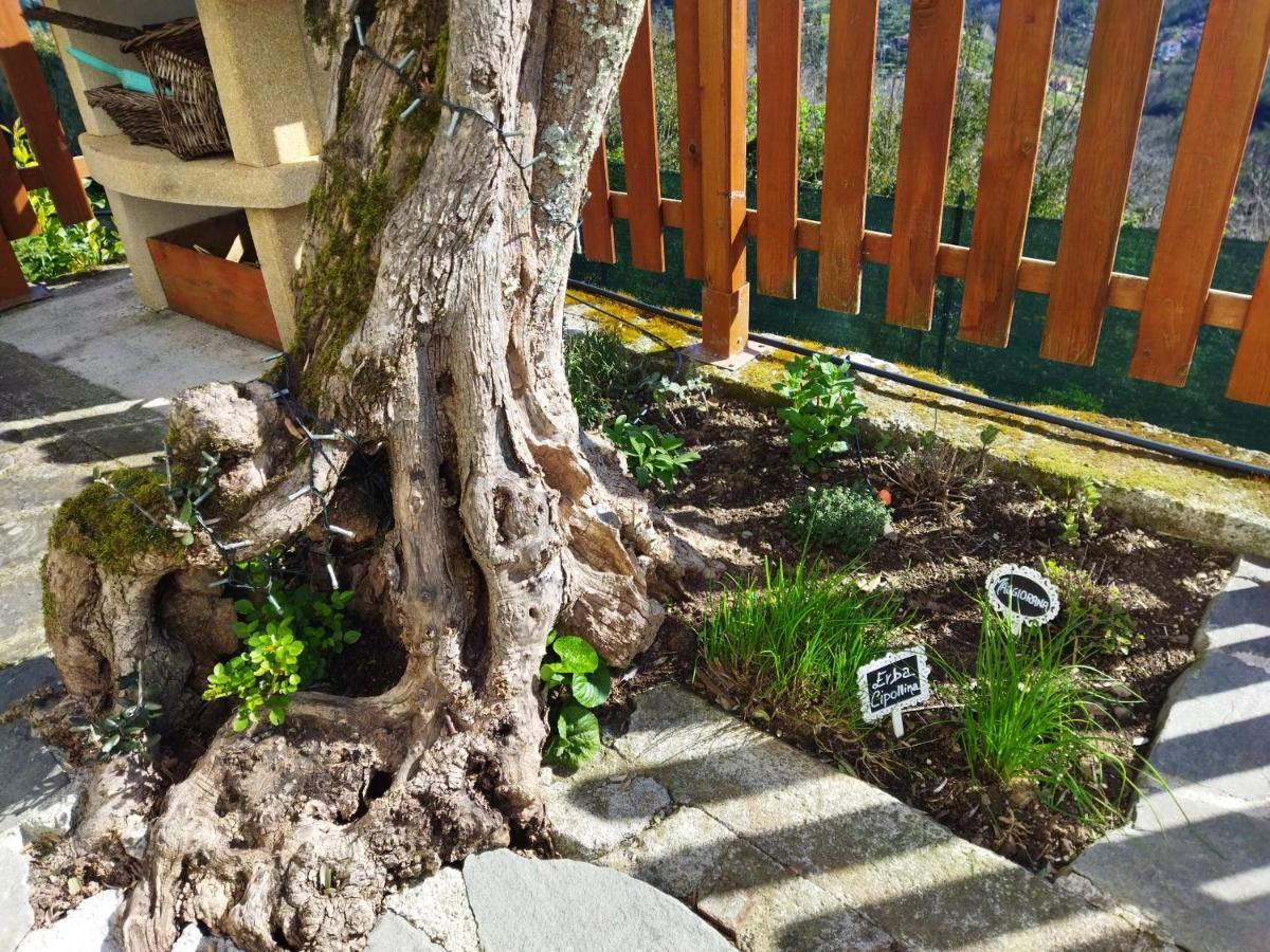 Amphiorama Villa La Spezia Kültér fotó